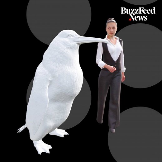38K views · 296 reactions | Huge penguins used to walk the earth, and this 3D rendering shows just how big they were  | BuzzFeed News | Facebook