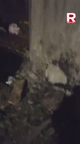 Attentato a Sigfrido Ranucci, Meloni: atto di gravità inaudita