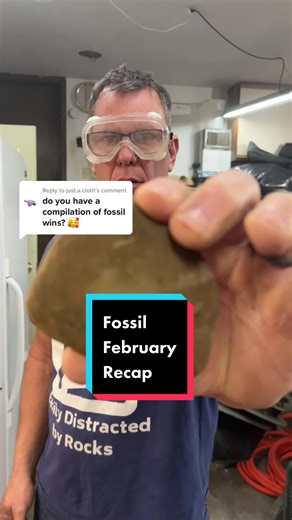 February Fossil Recap: Exploring Fern, Clam, and Horsetail Fossils