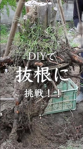 [DIY] Turn a messy garden into a beautiful garden with DIY! ...2 #garden #gardenDIY #oldhousereno...