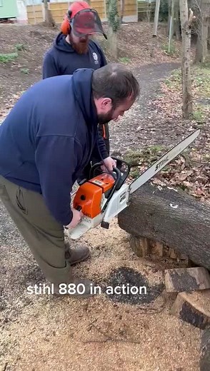 stihl 880 in action #chainsaw #stihlchainsaw #stihl #treecutting #gardenmachinery #stihl880