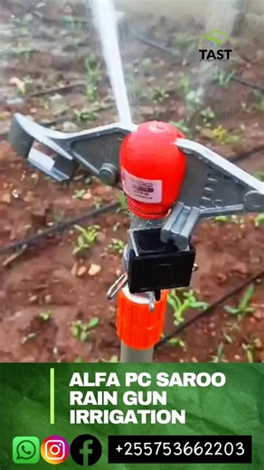 usambazaji wa maji /water distribution, iran ALFA PC SAROO Rain gun irrigation#tast #tasty #tanzania
