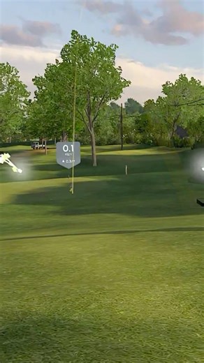 Does a Hole in One on a Simulator Count?