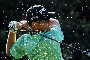 How to get rid of flying ants: An expert’s advice