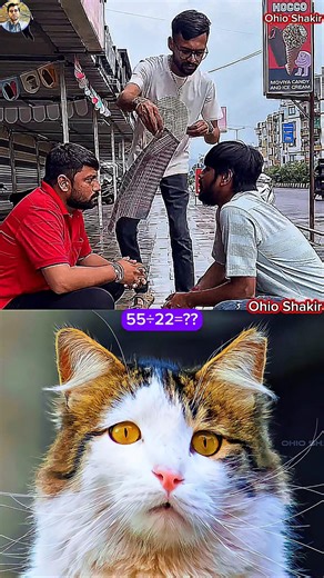 #catfunny ☠️☠️