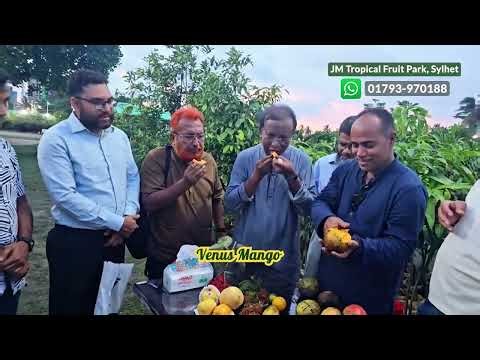 ভেনাস আমের স্বাদ Venus Mango Taste | #mango #mangotree #আম #gardening #বৃক্ষমেলা #sonpari #fruit