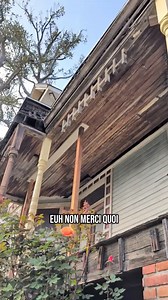 J’ai tellement rêvé de voir cette maison en vraie 😍 LA maison du clip de Michael Jackson ! Elle est tellement belle, dommage qu’elle ne soit pas plus entretenue… L’intérieur est tellement intriguant 👀🤯 Bon… Vous pensez qu’il faut que j’aille l’explorer ? 🙈 #experience #lieuxinsolites #michaeljackson #thriller #abandon #usa #urbex #jujurbex | Juj'Urbex