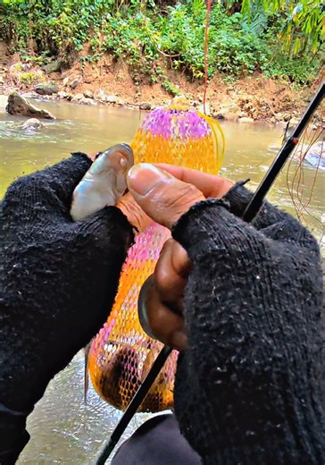 Mancing Mania: Tips dan Trik Memancing di Sungai