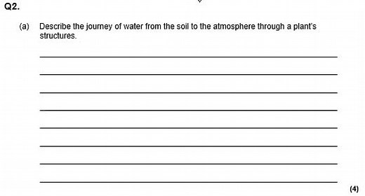 Process of transpiration #drkyleexplains #studytok #gcserevision #gcsebiology