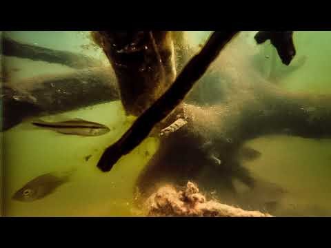 A Trophy Bass Pond - construction