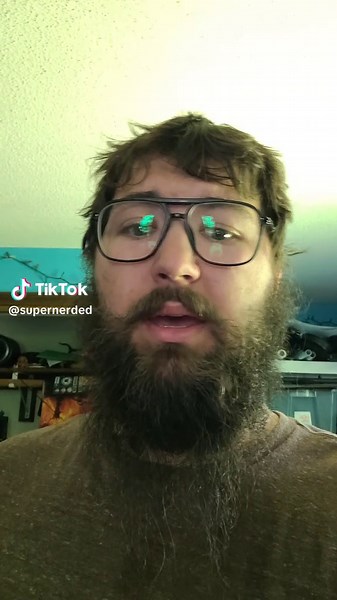 Terrified of Bees: What Should I Do?