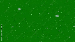 Snowfall concept.bottom-up perspective.Falling snow animation isolated by the alpha channel(transparent background).snow that falls slowly and then increases in intensity.winter and christmas concept