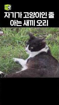 네가 왜 거기서 나와...? #달리 #DALI #TV동물농장 #shorts