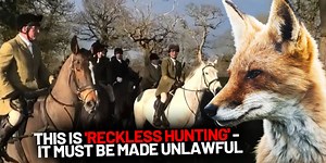 Hunted in plain sight: Footage isn’t enough under a broken law