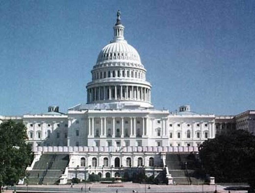 Learn About the Three Branches of Government for Kids