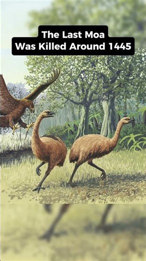Biggest Bird That Ever Existed On Earth #shorts