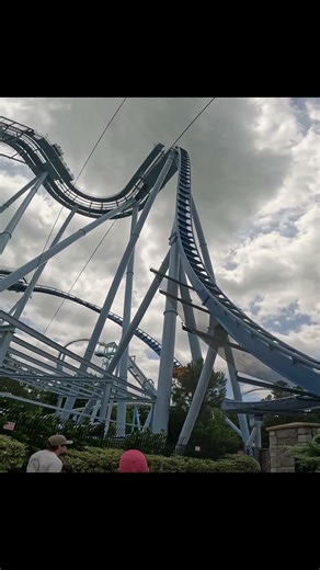 Big, beautiful, and blue Griffon at Busch Gardens Williamsburgh!