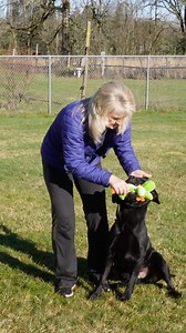 3.1K views · 15 reactions | Does your dog turn ‘drop it’ into a game of chase? ‍♂️ The key is NOT announcing it! Stay calm, use a leash for control, and teach ‘drop it’ the right way. Watch and learn!  #DogTrainingTips #DropItCommand | Shannon Walker Dog Trainer | Facebook