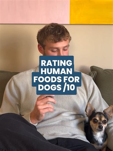 Rating Human Foods Safe for Dogs: What to Feed Them