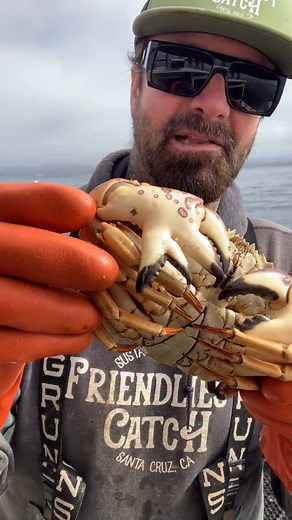 The Triple Clawed Crab #fishing #friendliestcatch #commercialfishing #seacreatures #crablover #oceanlife | Friendliest Catch