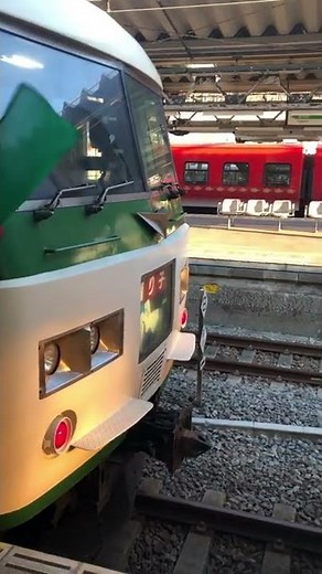 連結するよ 185系