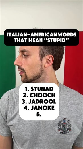 Jamoke is your fourth Italian-American slang word that means stupid. 👇Comment below if you use this one! And share with a jamoke! #wordoftheday #stupidword #italianslang | Oriundi Anthony