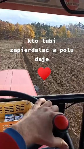 Mateusz Groszek na TikTok