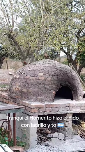 El Hornero Argentino: Un Maestro en la Construcción de Nidos