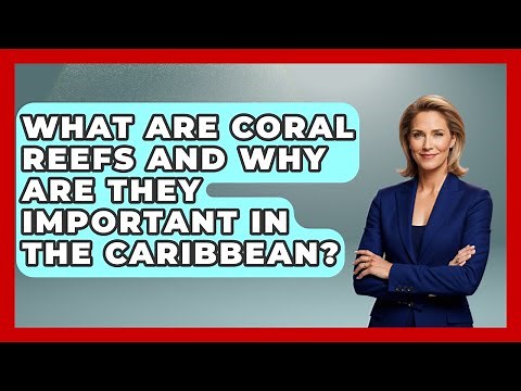 What Are Coral Reefs And Why Are They Important In The Caribbean? - The Caribbean Expert