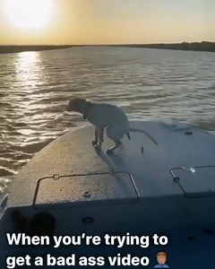 120K views · 1.9K reactions | Summer time | Twiztid | Facebook