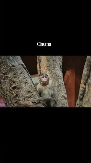 My life is like Christopher Nolan Movie