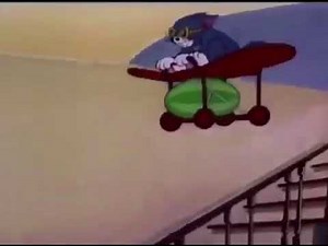 Cat eats watermelon 🍉(meme)