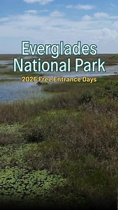 In 2025, free entrance days at national parks included MLK Day and Juneteenth. In 2026, those dates are gone — replaced with new ones, including June 14, which is Flag Day and President Trump’s birthday. Access to nature matters. Which days we choose to honor says something about what we value. Know the dates. Know the changes. And keep showing up for the places, and the people, worth protecting. 🌿 | Friends of the Everglades