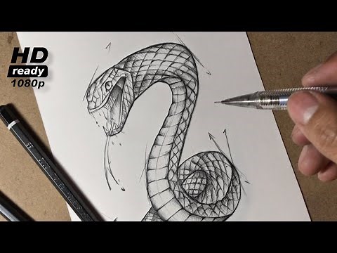 como Dibujar Una SERPIENTE a lapiz