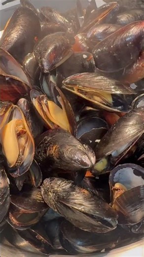 Mussels in creamy sauce 🔥 Quick & easy seafood recipe