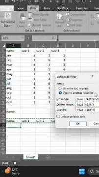 Excel Macro + Advanced Filter = Dynamic Filter in 10 Seconds!