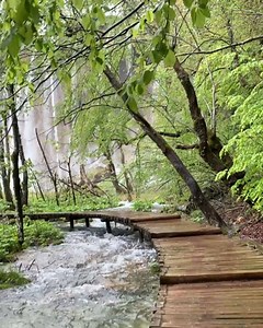 93K views · 805 reactions | Walking around the amazing nature scenery on a chilly spring day  #Plitvice #Croatia #Nature #Waterfalls | Plitviceblog | Facebook