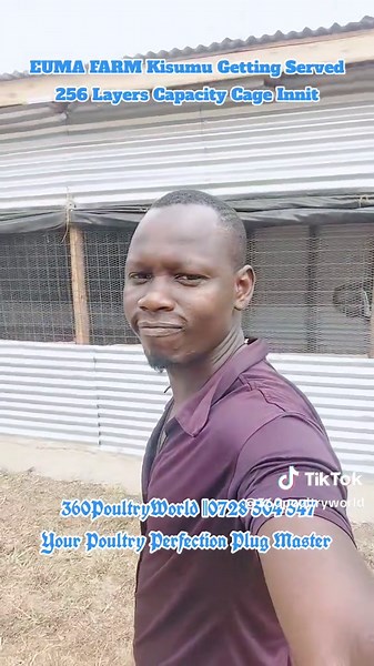 Quality Layer Cages Delivery at Euma Farm Kisumu