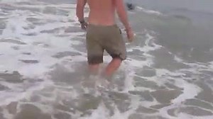 291K views · 4.4K reactions | Respect.. | AnimalBook | Facebook