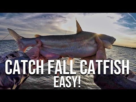 Late Fall Catfishing (How To Catch More Catfish EASY)
