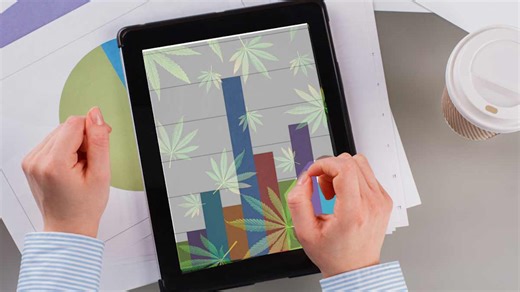 3 Marijuana Stocks That Could Make You Money In 2026