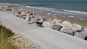 beautiful young girl doing roller skating with her dog