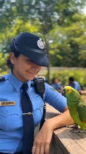 810K views · 38K reactions | A funny and charming police garden moment. The parrot asks to file a complaint, but his reason makes everyone burst into laughter. Real reactions, real smiles, pure joy. #funnyreel #talkingparrot #policeofficer #viralvideo #4Kreel #animalcomedy #reallaughs #reellife #realisticvideo #naturalmoment #birdlover #feelgoodreel #reelindia #trendingnow #cuteclip | Smile of Prosperity | Facebook