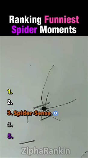 Ranking Funniest Spider Moments 🕷️😂
