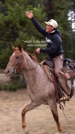 Lazy T Ranch on Instagram: "Work hard, play hard. 👌 Our cowboys experience a lot of grueling days, but they keep positive attitudes. Somebody is always laughing or joking around. Their camaraderie seems nostalgic, like a glimpse into the past, at original cowboy outfits. We hold tight to that heritage. 👉 Cowboying is part of our DNA as a ranch. For as long as we exist, Lazy T will be a place where cowboys ride horses and beef is cowboy-raised. ‼️ Explore our bio to learn more. #cowboys #cowboy