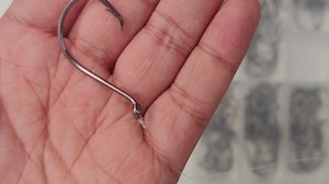 Circle Hooks Saltwater Fishing Hooks 2X Strong Offset Circle Hooks Black High Carbon Steel Catfish Fishing Hooks Freshwater Fish Hooks