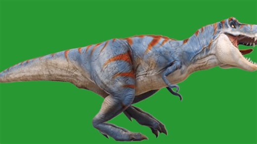 Dinosaur, Trex, Prehistoric. Free Stock Video