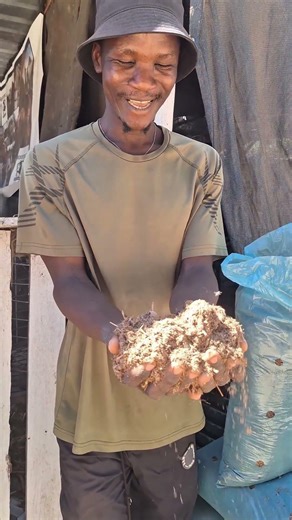 Do you need compost or potting soil? Pop me a message and I will send you his details. #compost