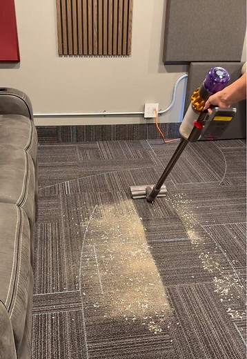 Budget-Friendly Vacuum Comparison: Dyson vs True Cozy