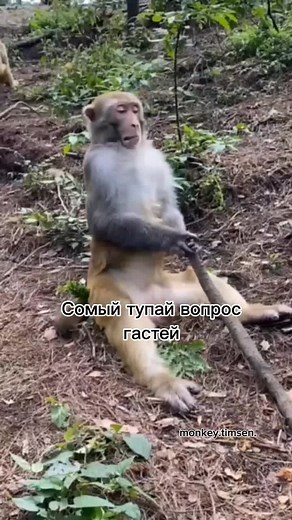 браток on TikTok
